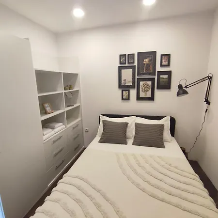 Sunflower By Rv * Warna