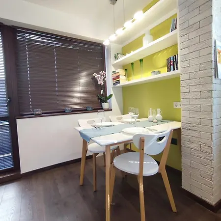 Sunflower By Rv * Varna